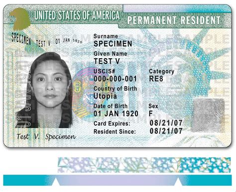 permanent resident green card application